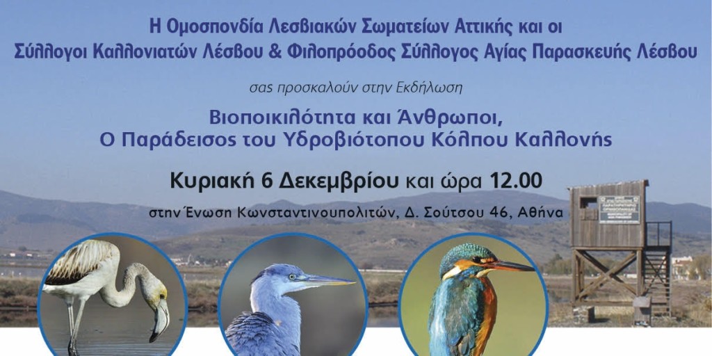 Κυριακή 6-12-13 στις 12 το μεσημέρι  Εκδήλωση για τον Υδροβιότοπο του Κόλπου Καλλονής